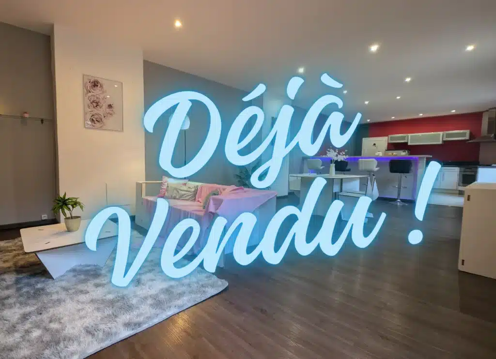 Appartement AY vendu